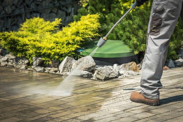 Best Pre-Holiday Cleaning  in Savannah, MO